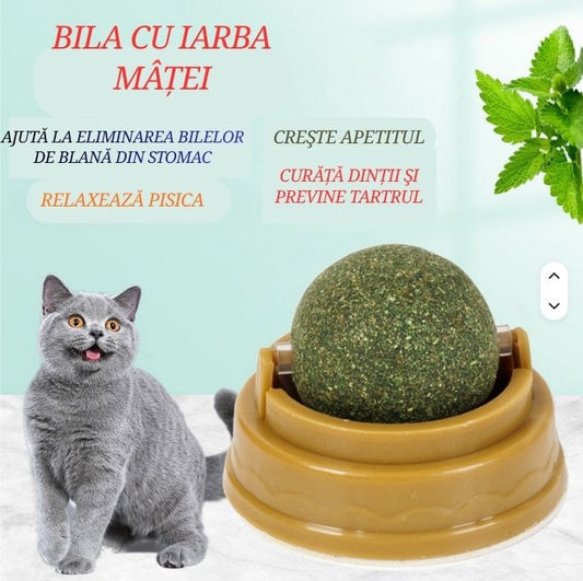 Jucărie terapeutică cu iarba mâței